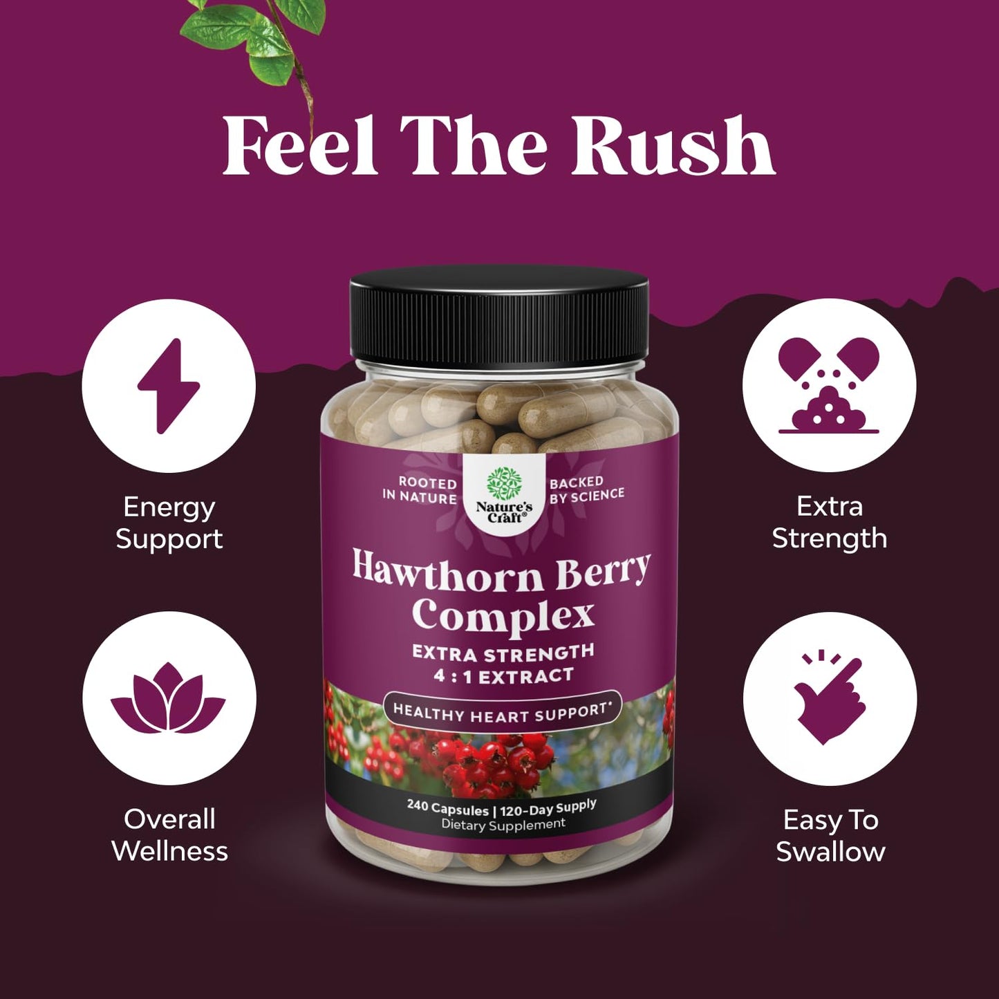 High Strength Hawthorn Berry Capsules 4-1 – Heart Health & Digestion (240 Count)