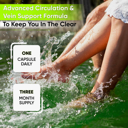 Best Blood Circulation Supplements & Vein Support – Blood Flow, Leg Circulation, Heart Health, Varicose Veins | Butcher's Broom & Diosmin – 90 Caps