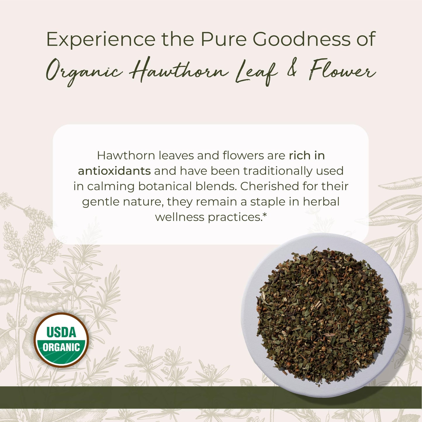 Starwest Botanicals Organic Hawthorn Leaf & Flower C/S – 1 lb (Crataegus laevigata)