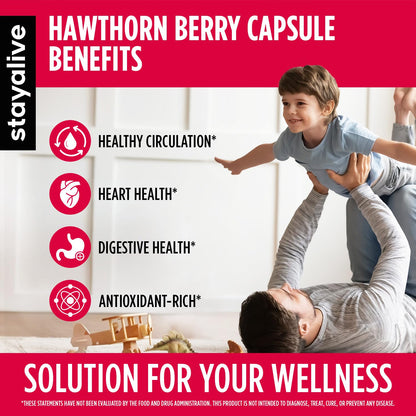 STAY ALIVE Hawthorn Berry Capsules 20:1 Extract – 6-in-1 Antioxidant, 120 Vegan Pills