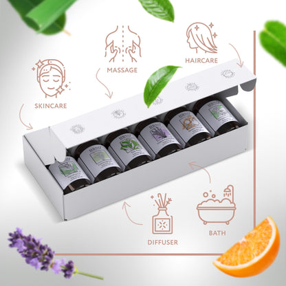 HBNO Essential Oils Set (10ml) - Top 6 Oils for Aromatherapy, DIY Skincare & More | Lavender, Eucalyptus, Tea Tree, Peppermint, Orange, Lemongrass