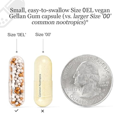 HCF A20 Microbead Brain Health Supplement | 20 Nootropics & 7 Advances