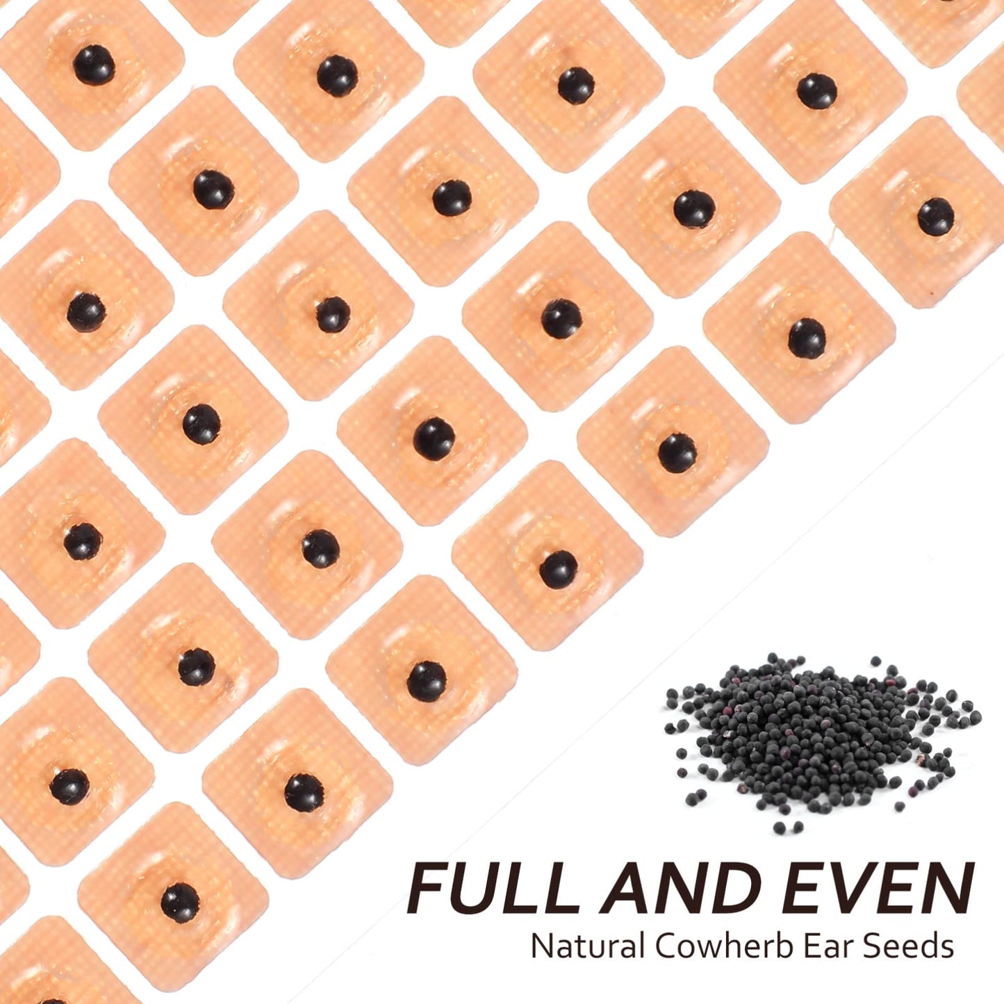 Healifty 600 Counts Vaccaria Ear Seeds - Disposable Ear Press Kit for Multi-Condition Ear Acupressure (10 Sheets)