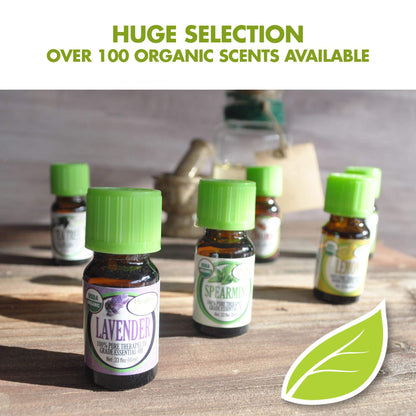 Healing Solutions Cardamom Essential Oil 0.33 oz – Organic, Pure & Undiluted