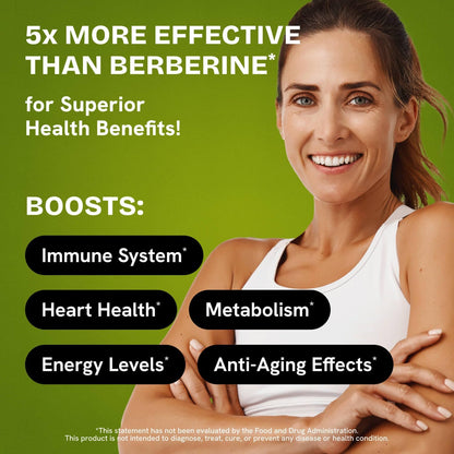 HealMeal Dihydroberberine Supplement - Enhanced Absorption with Cinnamon & R Alpha Lipoic Acid - 480 Caps (4 Packs)