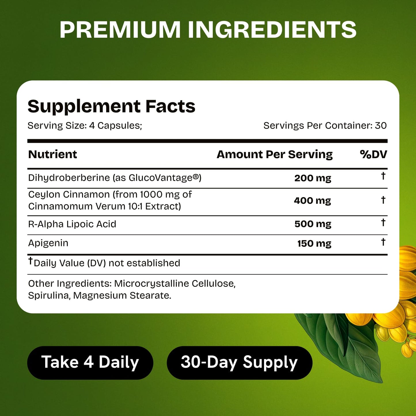 HealMeal Dihydroberberine Supplement - Enhanced Absorption with Cinnamon & R Alpha Lipoic Acid - 480 Caps (4 Packs)