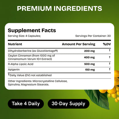 HealMeal Dihydroberberine Supplement - Enhanced Absorption with Cinnamon & R Alpha Lipoic Acid - 480 Caps (4 Packs)