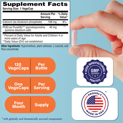 Health Thru Nutrition PureQQ PQQ 40mg – 120 Servings | Vegan, Non-GMO