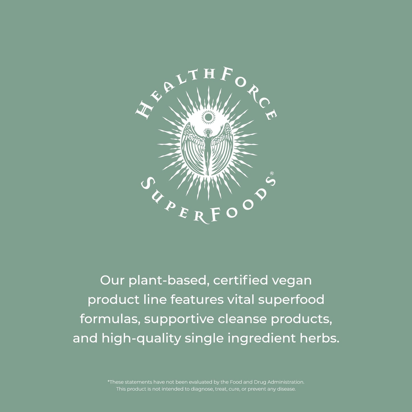 HealthForce SuperFoods Integrity Extracts Chaga Powder – 70 g | Organic, Vegan, Kosher, Gluten-Free