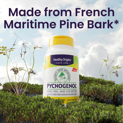 Healthy Origins Pycnogenol 150 mg - French Maritime Pine Bark Extract (Vegan, Non-GMO)