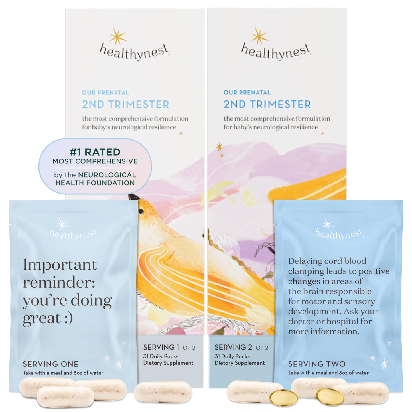 HealthyNest 2nd Trimester Prenatal Vitamin | Fetal Brain Development Support | 31 Day Supply