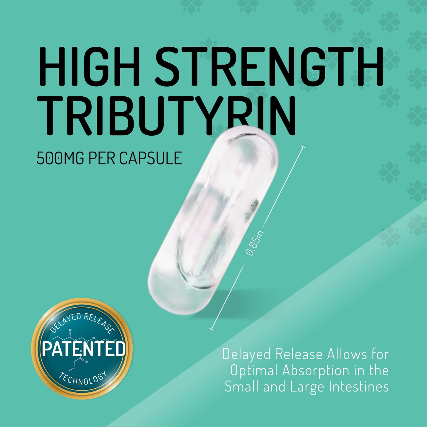 Healus Complete Biotic - Postbiotic Tributyrin for Gut Health