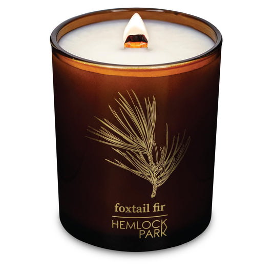 Hemlock Park Amber & Gold Wood Wick Candle – 7.2 oz Coconut Wax