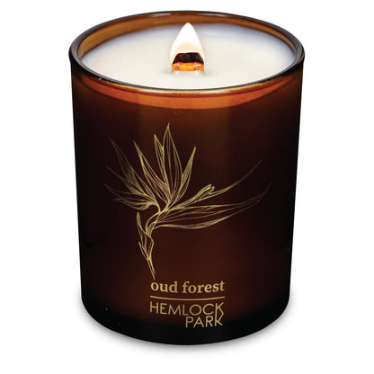 Hemlock Park Amber & Gold Wood Wick Candle | Coconut Wax, Oud Forest (7.2 oz)
