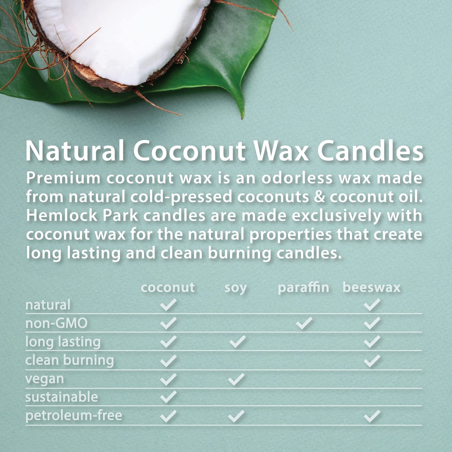 Hemlock Park Crackling Wood Wick Candle - 8 oz, Scarlet Rose