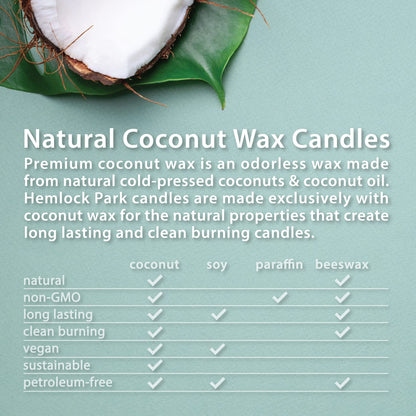 Hemlock Park Crackling Wood Wick Candle – 8 oz, Mission Fig