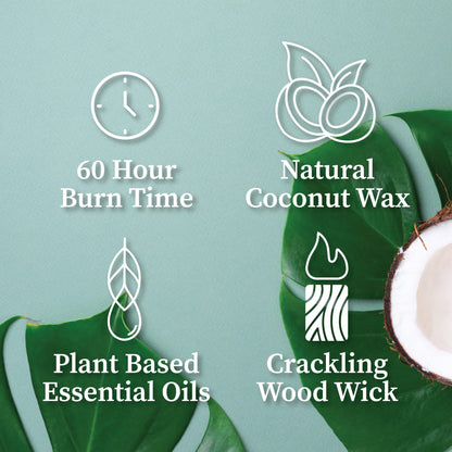 Hemlock Park Crackling Wood Wick Candle – Handcrafted Coconut Wax (8 oz, Frankincense)