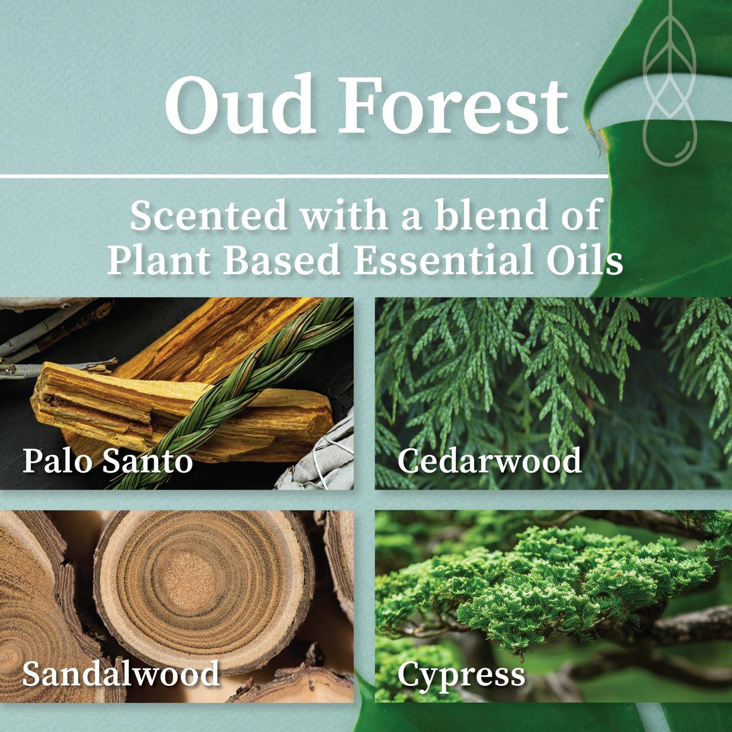 Hemlock Park Crackling Wood Wick Candle | Oud Forest, 8 oz Natural Coconut Wax