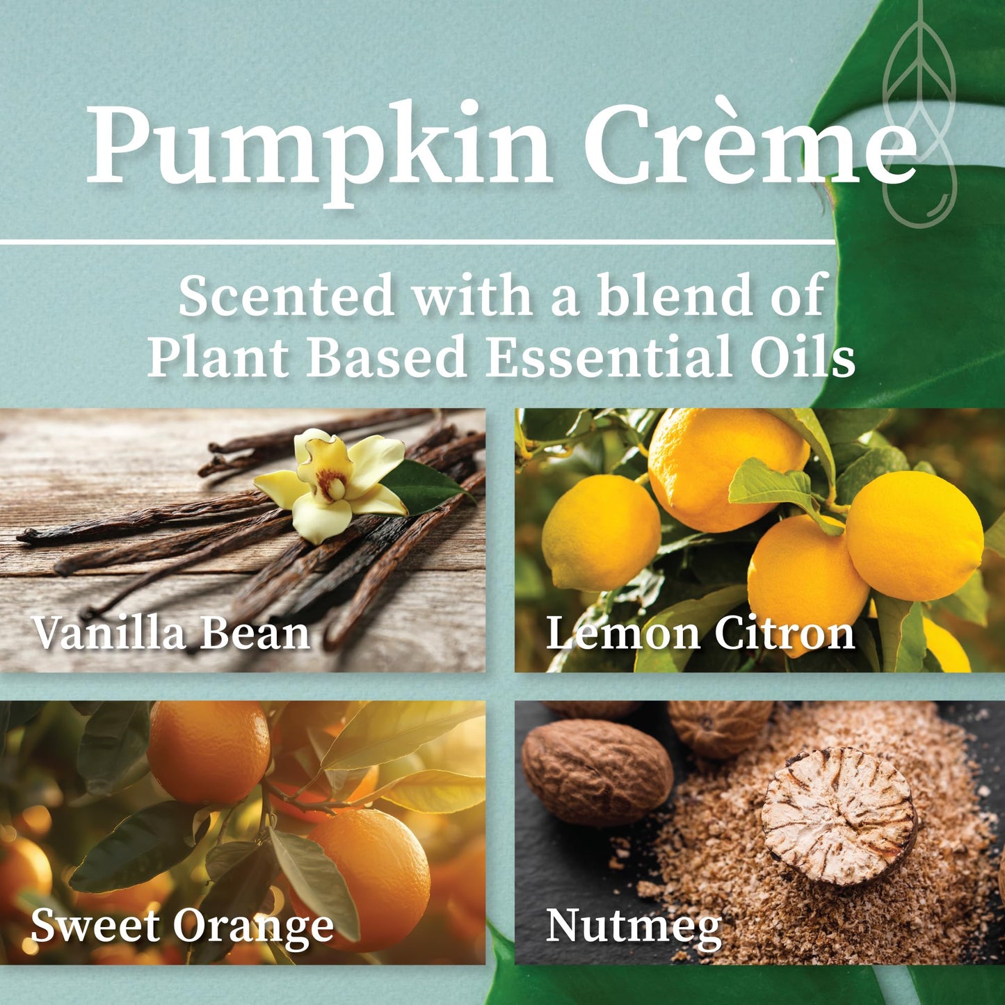 Hemlock Park Green Glass Wood Wick Candle – 8 oz Pumpkin Crème