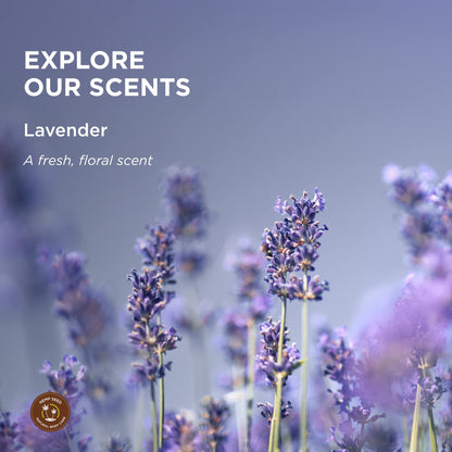Hemp Seed Massage Lotion Lavender - 8 oz | Vegan & Cruelty-Free