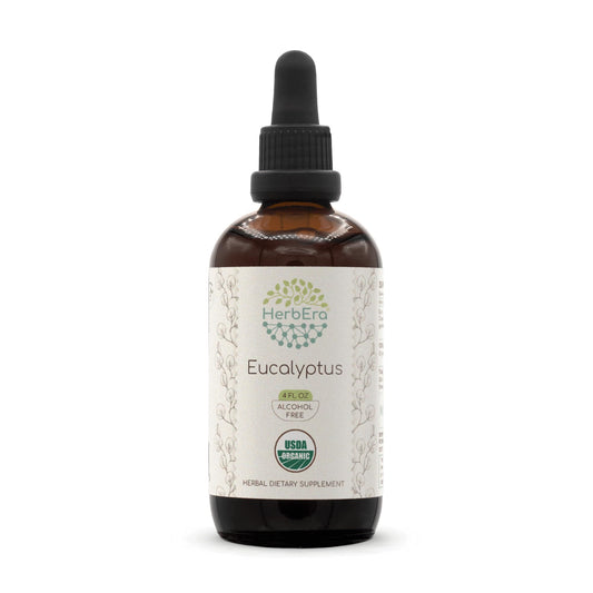 HerbEra Eucalyptus B120 USDA Organic Tincture - Alcohol-Free, High-Potency (4 oz)