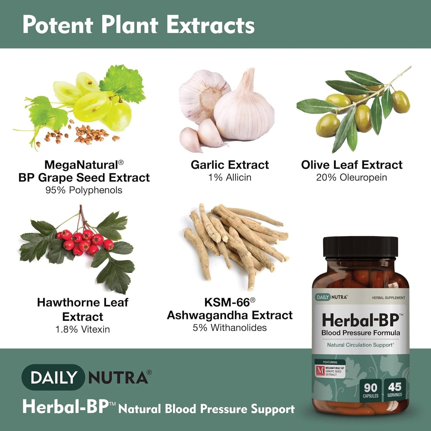 Herbal-BP Natural Blood Pressure Supplement – 3-Pack (Grape Seed, Garlic, Hawthorn)