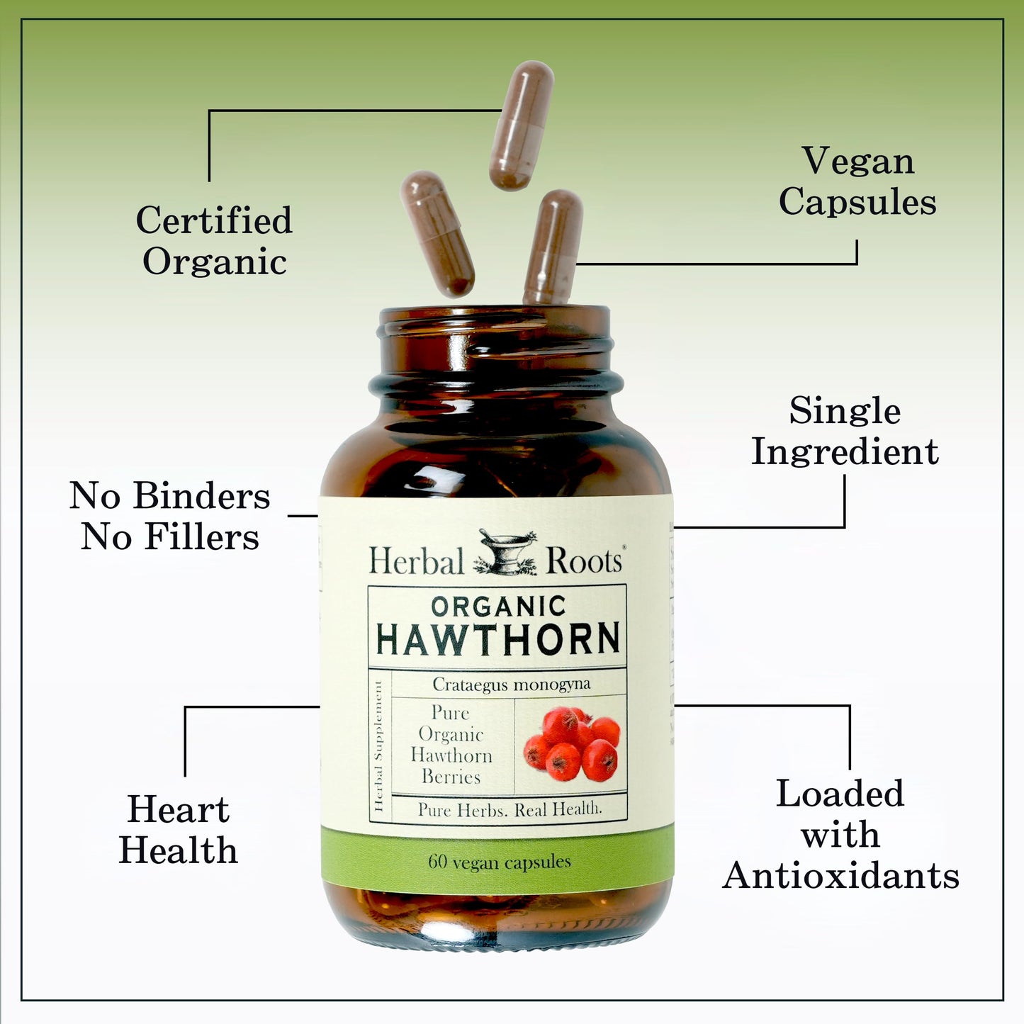 Herbal Roots Organic Hawthorn Berry Capsules – Extra Strength 1,200mg per Serving | 60 Vegan Capsules