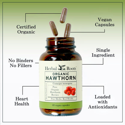Herbal Roots Organic Hawthorn Berry Capsules – Extra Strength 1,200mg per Serving | 60 Vegan Capsules