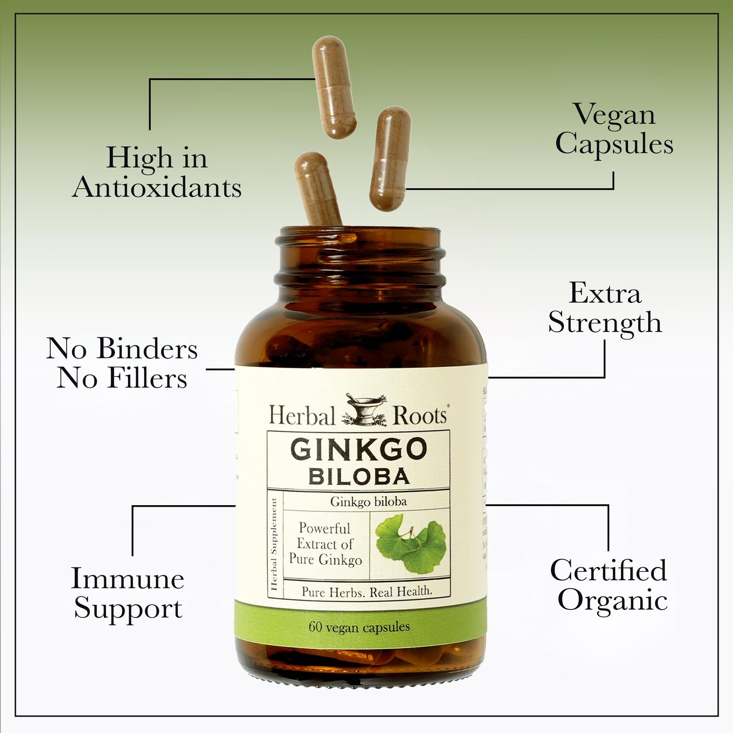 Herbal Roots Organic Ginkgo Biloba – 60 Vegan Capsules