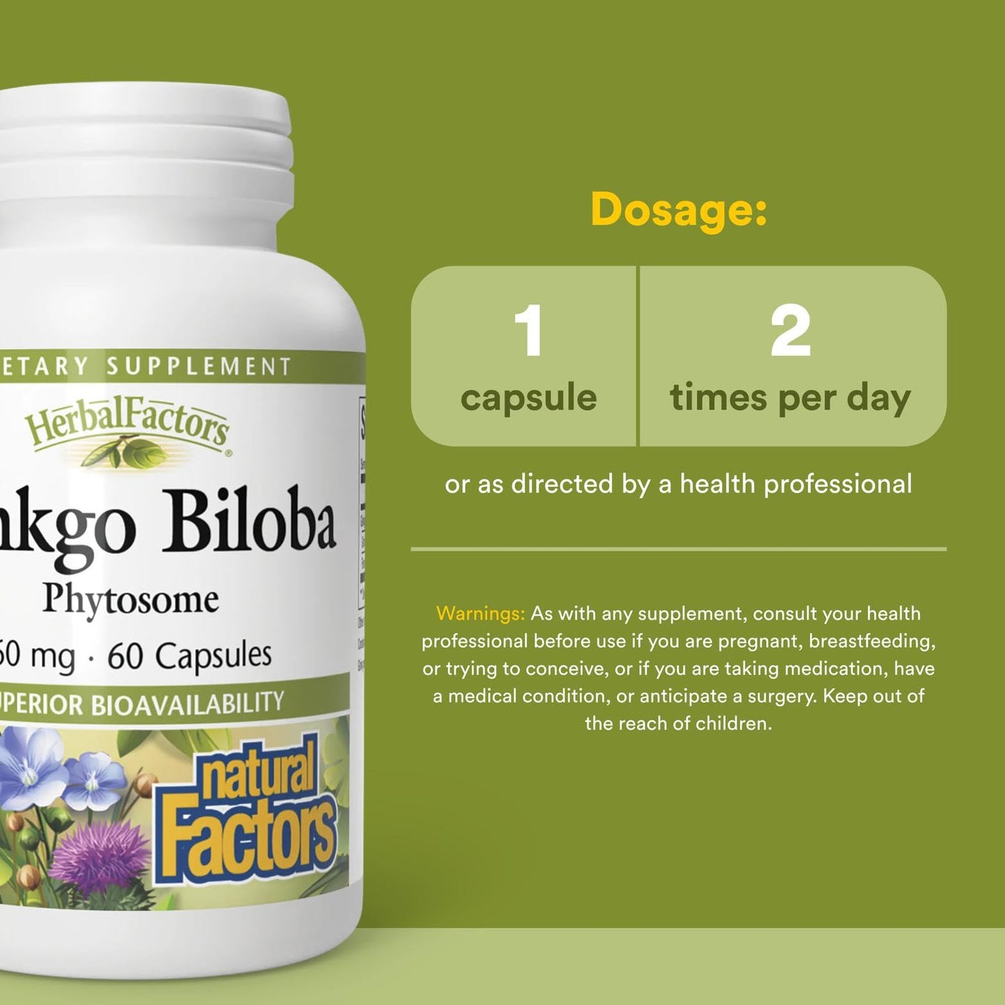 HerbalFactors Ginkgo Biloba Phytosome – Circulation & Brain Health, 60 Caps