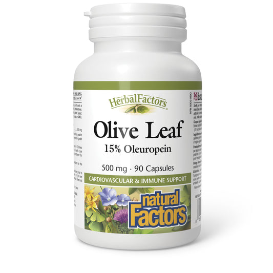 HerbalFactors by Natural Factors - Olive Leaf 500 mg | Natural Wellness Formula | 90 Capsules