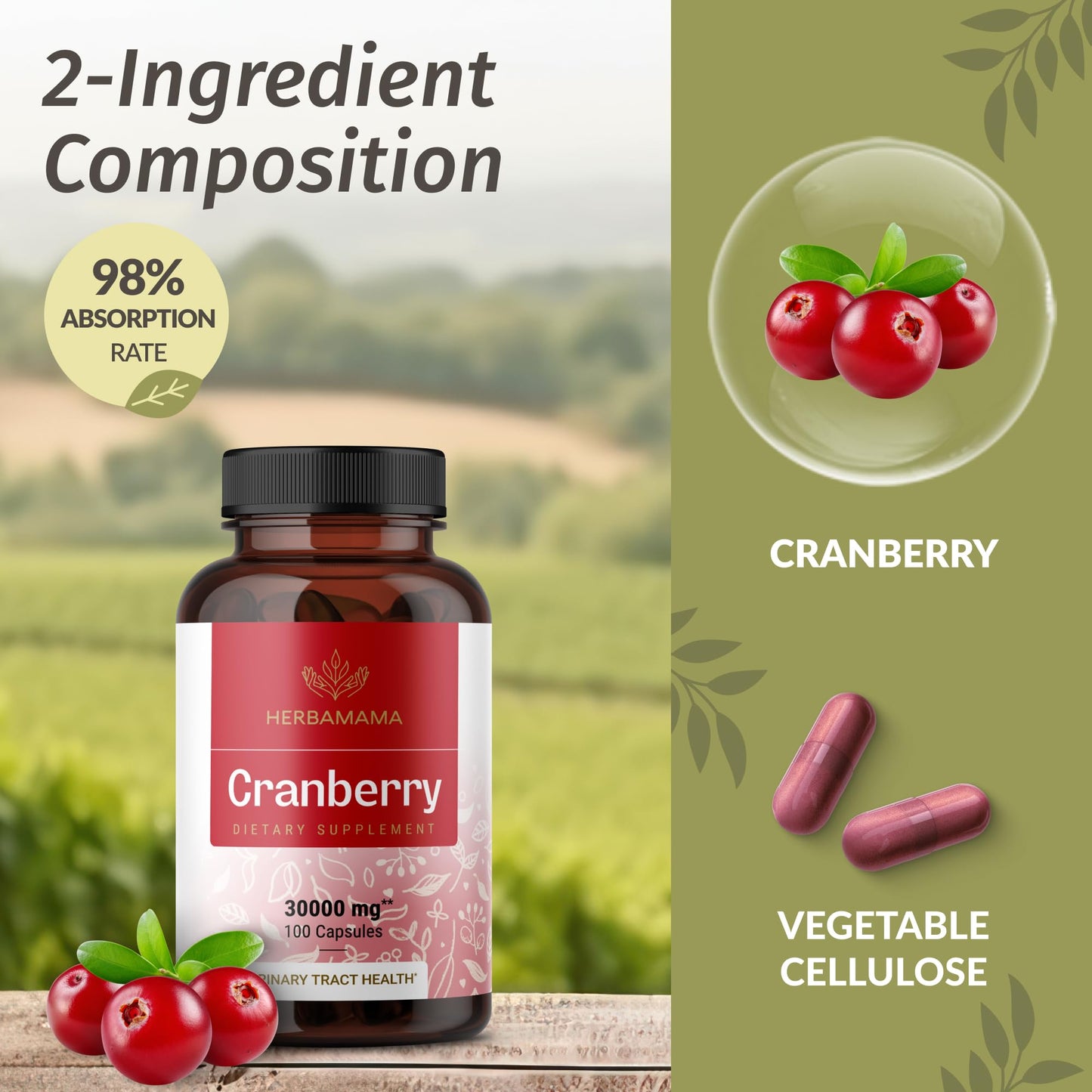 Herbamama Cranberry Extract Capsules – 30,000mg Cranberry Powder for Urinary Tract Support | Vegan, Non-GMO, 100 Caps (Pack of 2)