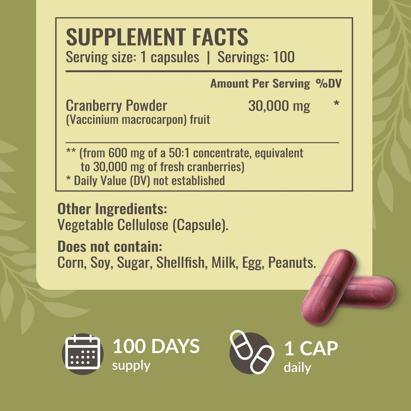 Herbamama Cranberry Extract Capsules – 30,000mg Cranberry Powder for Urinary Tract Support | Vegan, Non-GMO, 100 Caps (Pack of 2)