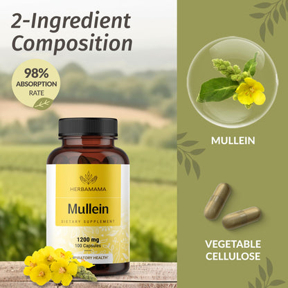 HERBAMAMA Mullein Leaf Capsules - 1200mg Lung Detox Support | Vegan & Non-GMO | Pack of 2
