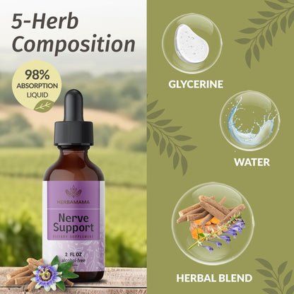 HERBAMAMA Nerve Support Supplement - Vegan Nerve Support Formula with Ashwagandha & Bacopa Monnieri for Brain - Non-GMO, Alcohol & Sugar-Free Daily Calming Drops for Adults, 28-Day Supply (Pack of 2)