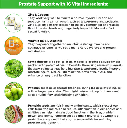 HerbaMe Prostate Support with Saw Palmetto & Zinc – 120 Caps