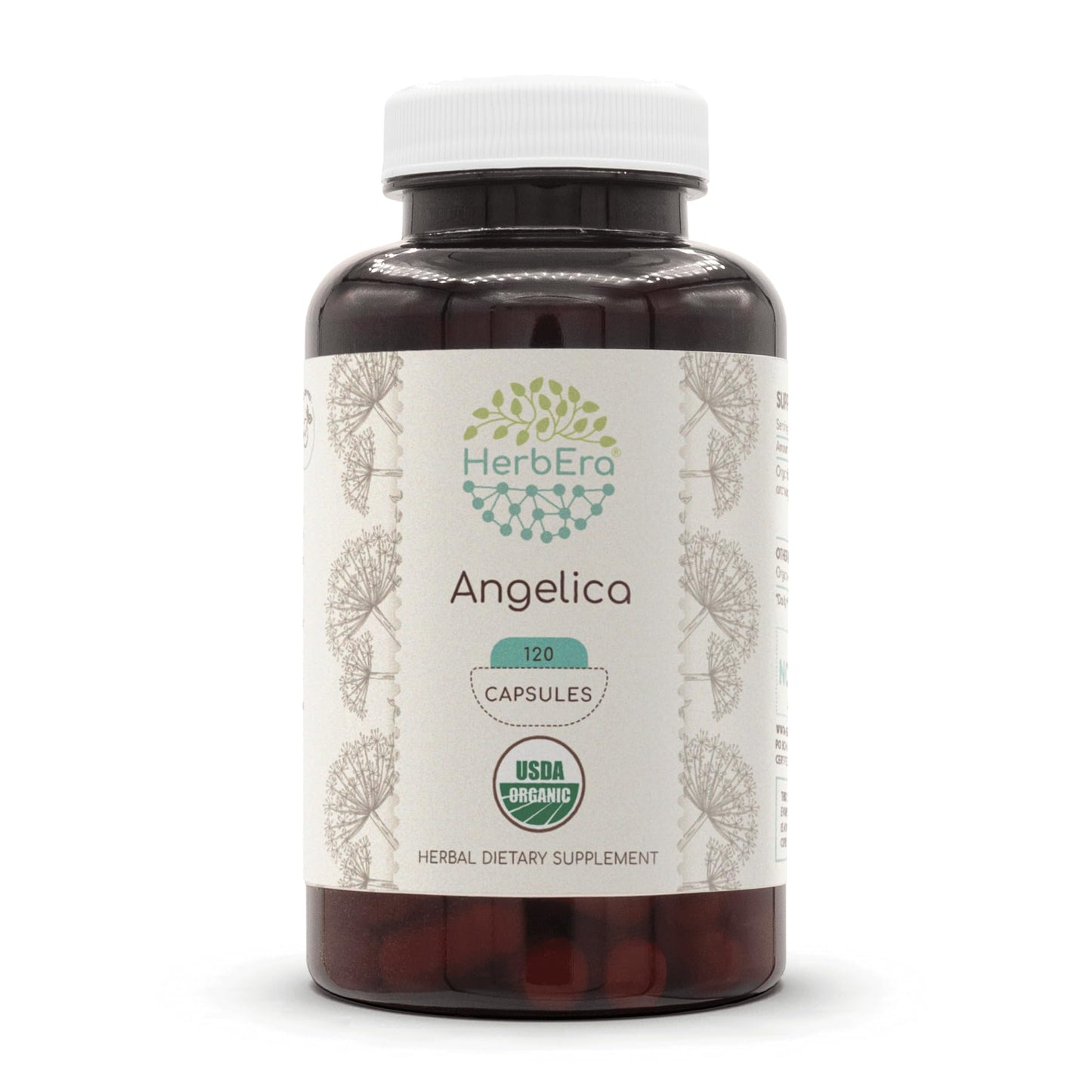 HerbEra Angelica USDA Organic 120 Capsules | Organic Angelica Root Supplement