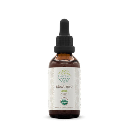 HerbEra Eleuthero B60 USDA Organic Tincture – Alcohol-Free, High-Potency Eleuthero Drops (2 oz)
