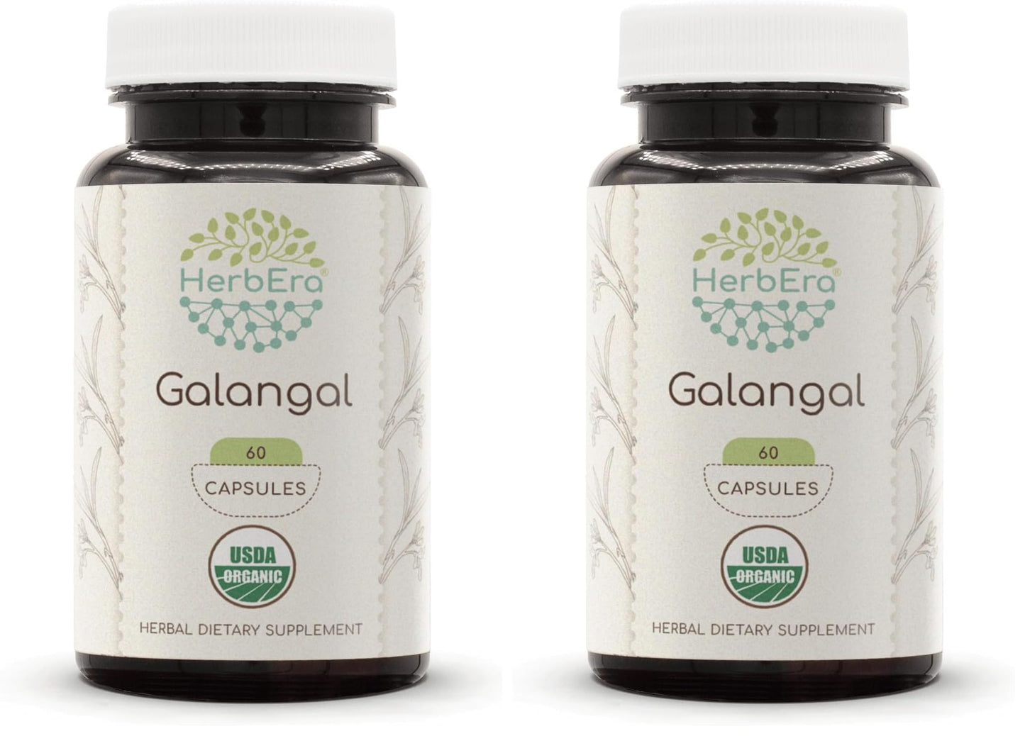 HerbEra Galangal 60 Capsules – 500 mg, USDA Organic Galangal (Alpinia Galangal) – Pack of 2