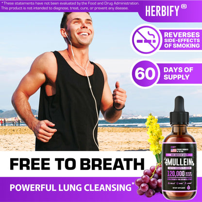 HERBIFY Mullein Drops – Lung Support & Immune Support, Made in USA, 4 Oz Grape Flavor