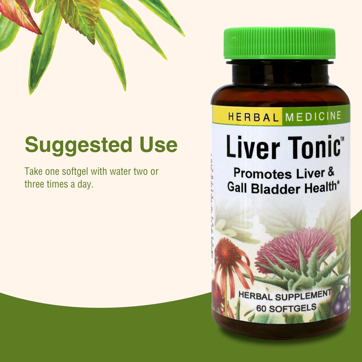 Herbs Etc. Liver Tonic – Gallbladder & Liver Health Supplement | Milk Thistle, Schisandra & Oregon Grape | 60 Softgels