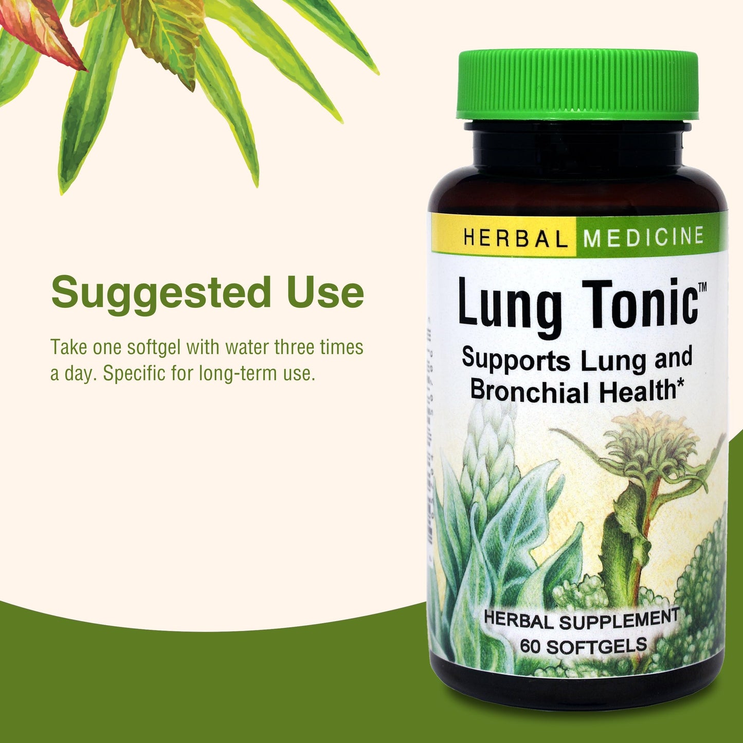 Herbs Etc. Lung Tonic - Lung & Respiratory Support - 60 Softgels