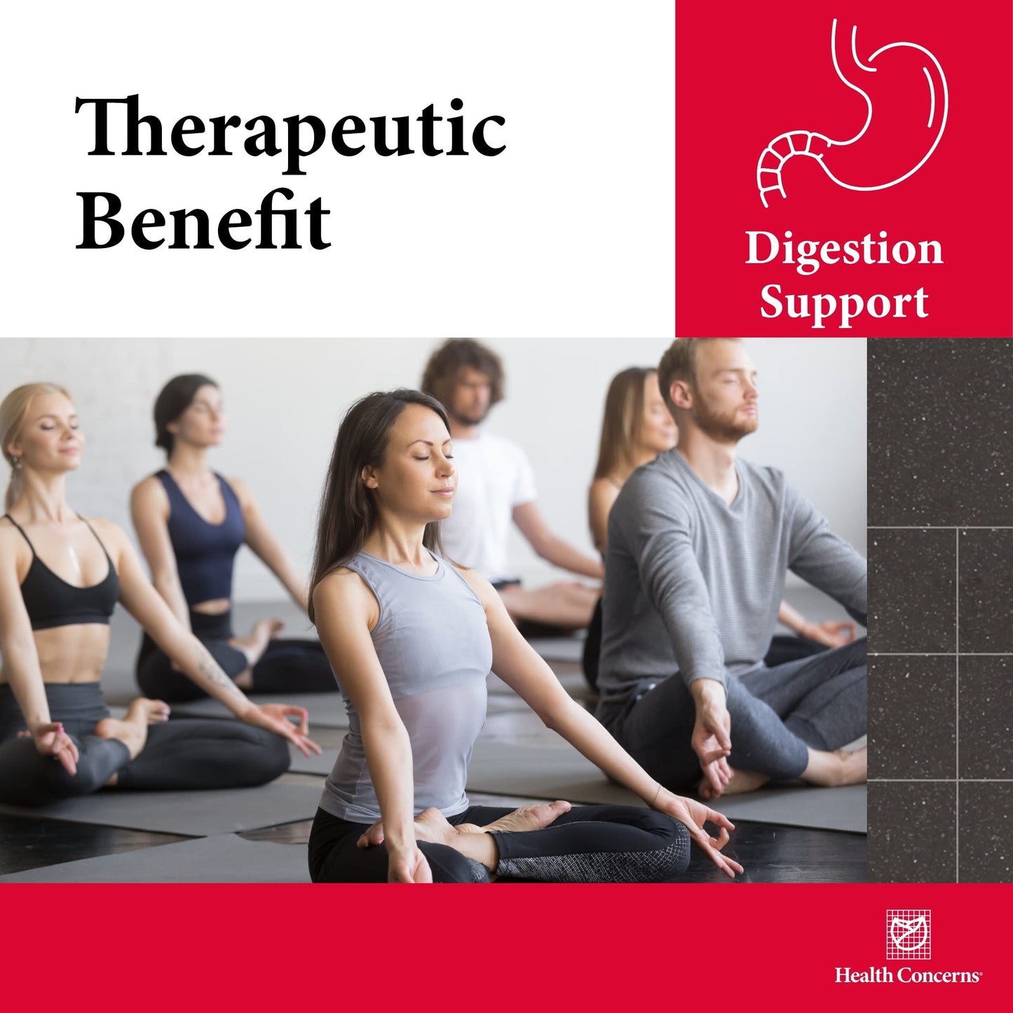 Health Concerns Quiet Digestion – Digestive Support for Upset Stomach, Gas & Bloating | Bao He Wan Herbal Formula, 90 Capsules