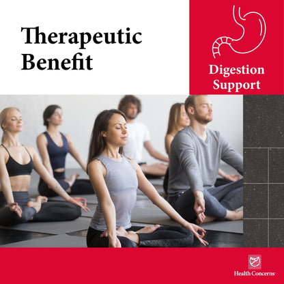 Health Concerns Quiet Digestion – Digestive Support for Upset Stomach, Gas & Bloating | Bao He Wan Herbal Formula, 90 Capsules