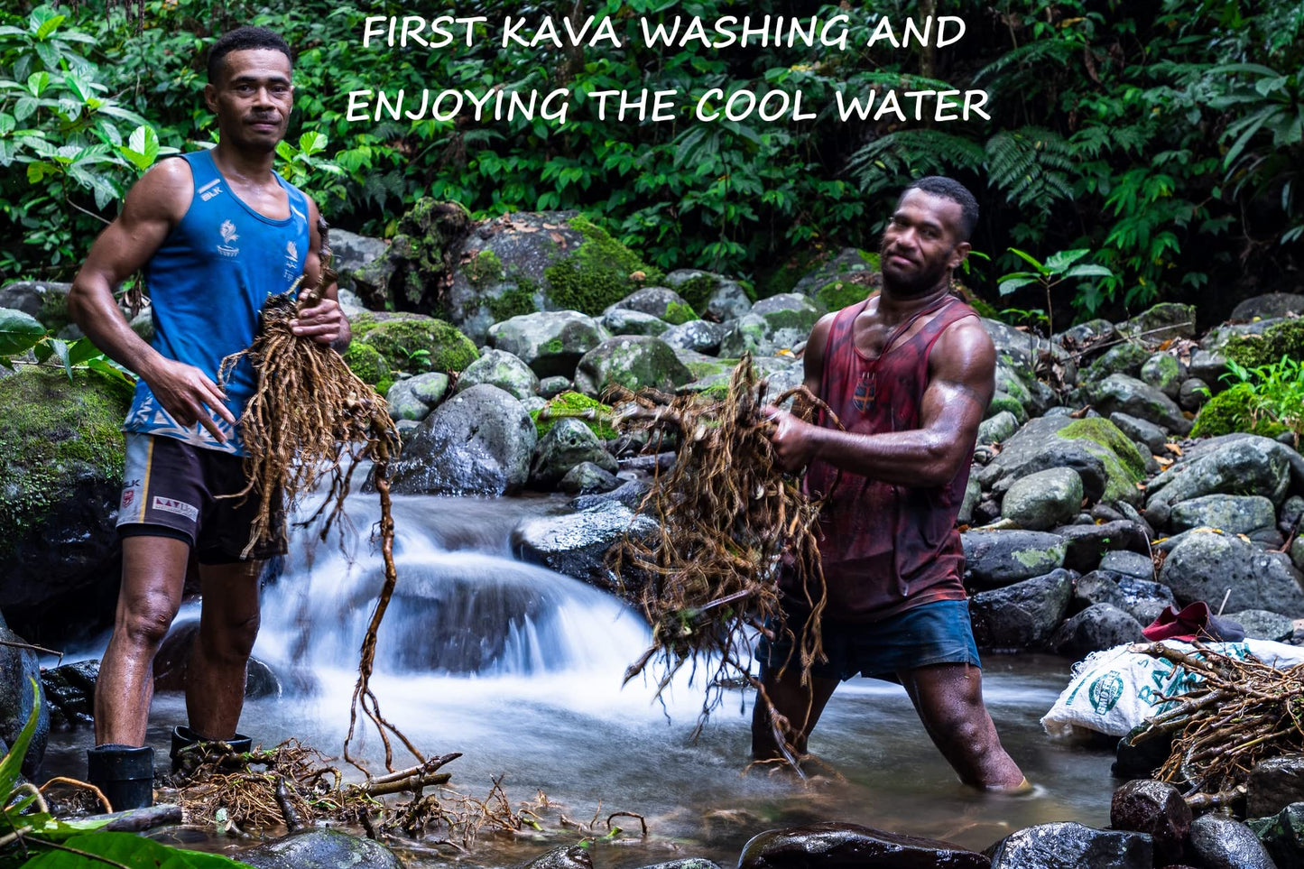 Heritage Kava Premium Fiji Noble Kava Root Powder 16 oz (1 lb)