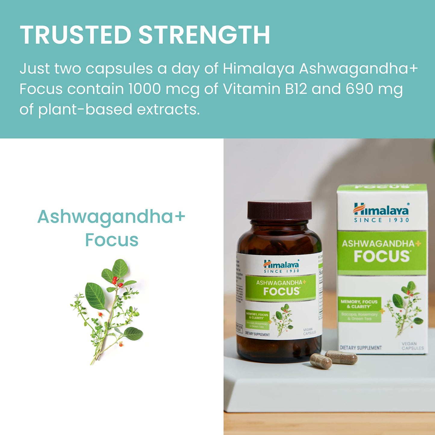 Himalaya Ashwagandha+ Focus – Nootropic Memory & Clarity (Vegan, Non-GMO)