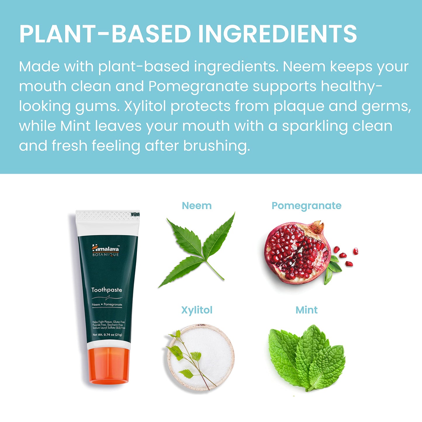 Himalaya Botanique Neem & Pomegranate Travel Toothpaste – Fluoride Free, SLS Free, Vegan, Gluten Free, Mint – 0.74 oz Travel Size (Pack of 20)