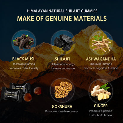Himalayan Shilajit Gummies with Ashwagandha & Gokshura | 85+ Minerals & Fulvic Acid
