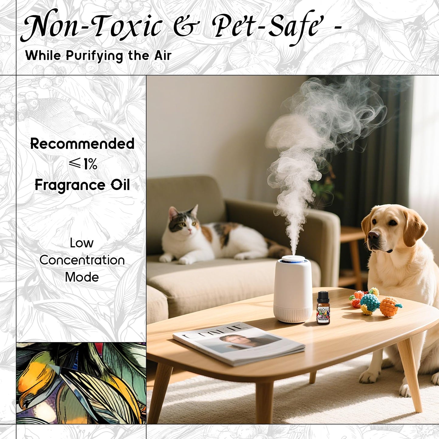 HIQILI Aqueous Bloom Diffuser Oil – Long-Lasting Scent for Large Spaces | Pets & Home (0.34 fl oz)