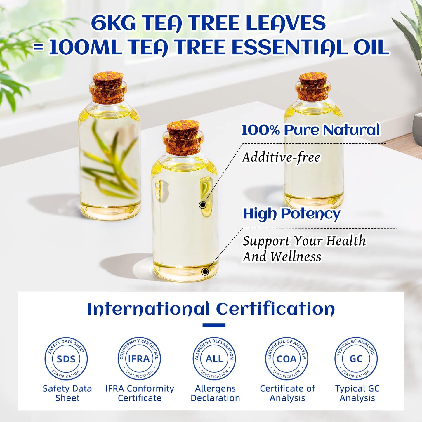 HIQILI Tea Tree Oil for Skin & Hair – 3.38 Fl Oz | Shampoos, Body Wash & Foot Soak